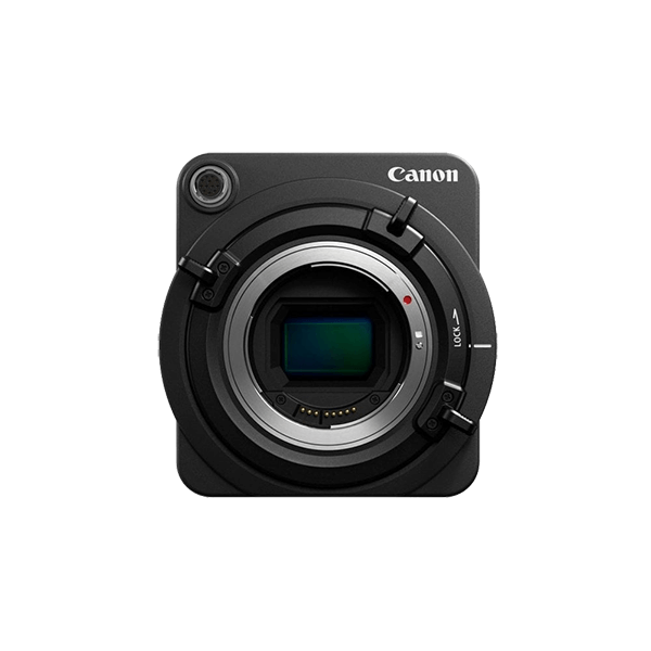 Aenean non pellentesque mauris